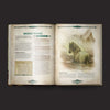 FLF DGB010 ITEM IMAGE 3