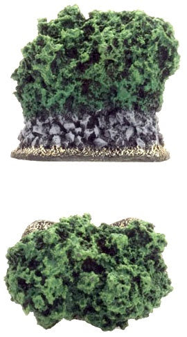 FOW BB166 ITEM IMAGE 4