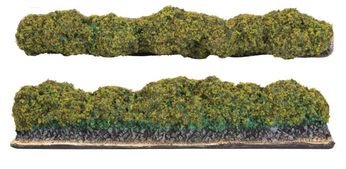 FOW BB243 ITEM IMAGE 3