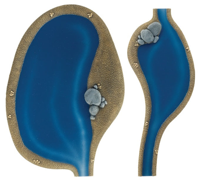 FOW BB562 ITEM IMAGE 3