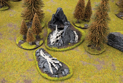 FOW BB568 ITEM IMAGE 5