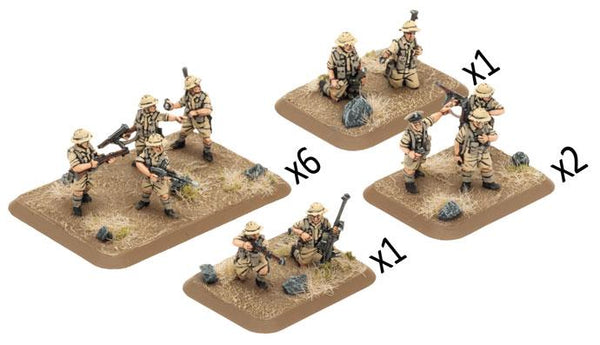 FOW BR733 ITEM IMAGE 2