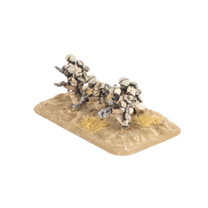 FOW BR786 ITEM IMAGE 4