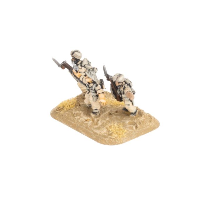 FOW BR786 ITEM IMAGE 5