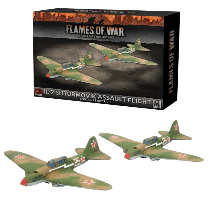 FOW SBX53 ITEM IMAGE 3