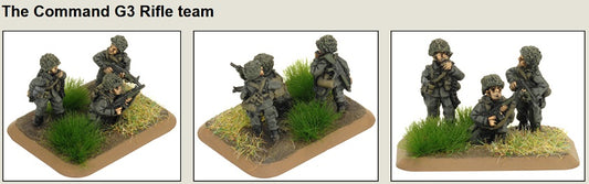 FOW TGR703 ITEM IMAGE 2