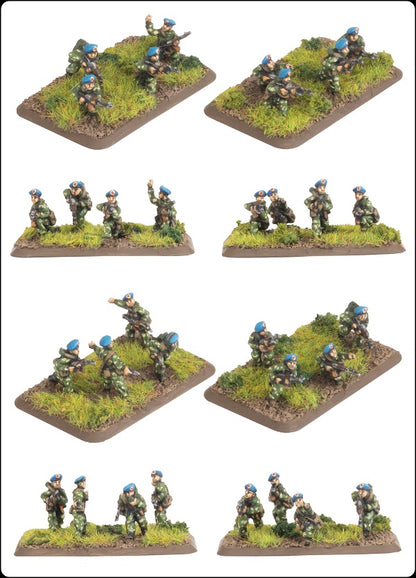 FOW TSU712 ITEM IMAGE 3