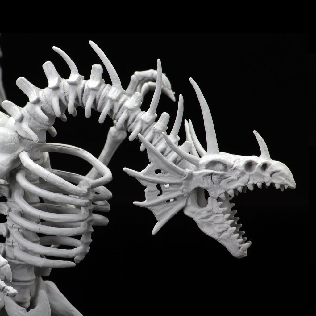 WZK 90039 ITEM IMAGE 5