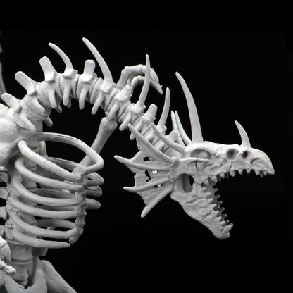 WZK 90039 ITEM IMAGE 5