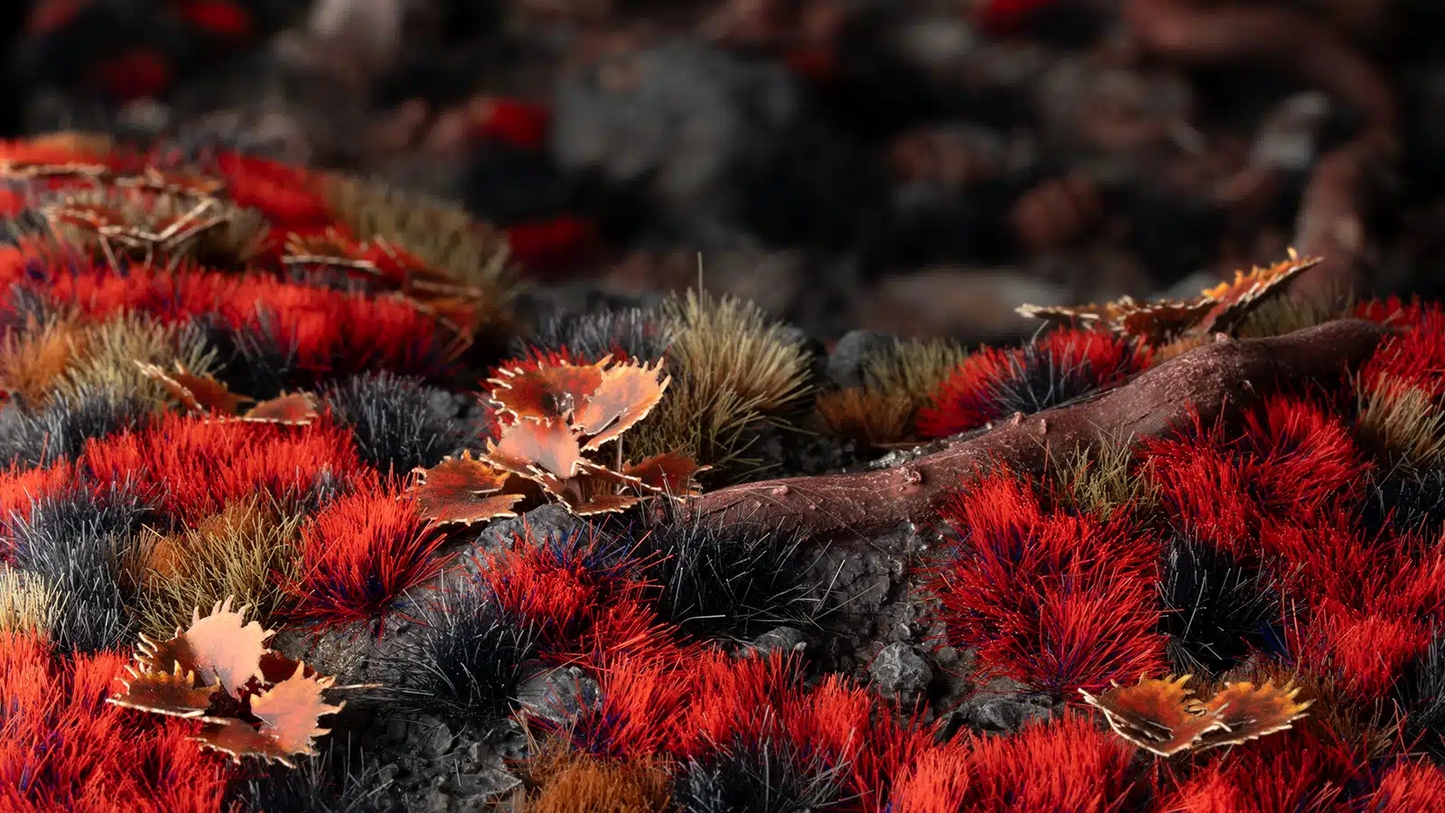 GGR GGA-BM ITEM IMAGE 4