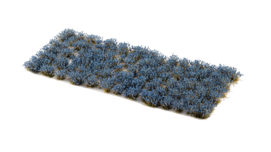 GGR GGFS-BLUITEM IMAGE 1