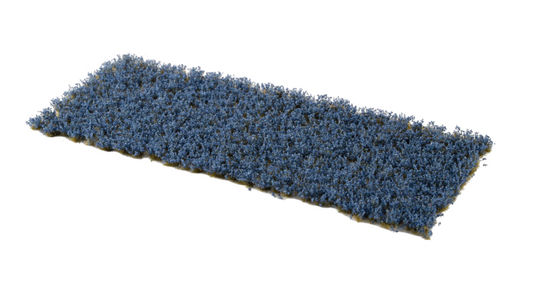 GGR GGFS-CORITEM IMAGE 1