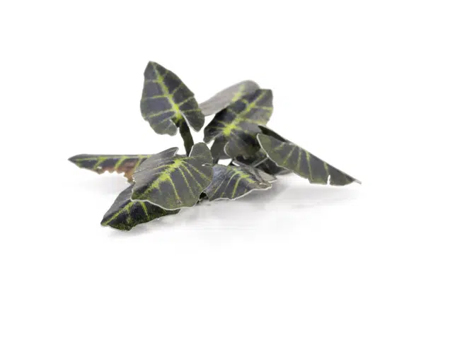 GGR GGLP-BMT ITEM IMAGE 4