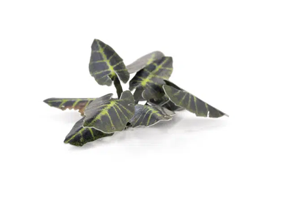 GGR GGLP-BMT ITEM IMAGE 4