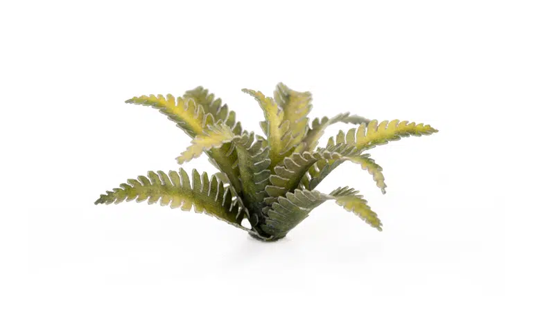 GGR GGLP-DF ITEM IMAGE 4