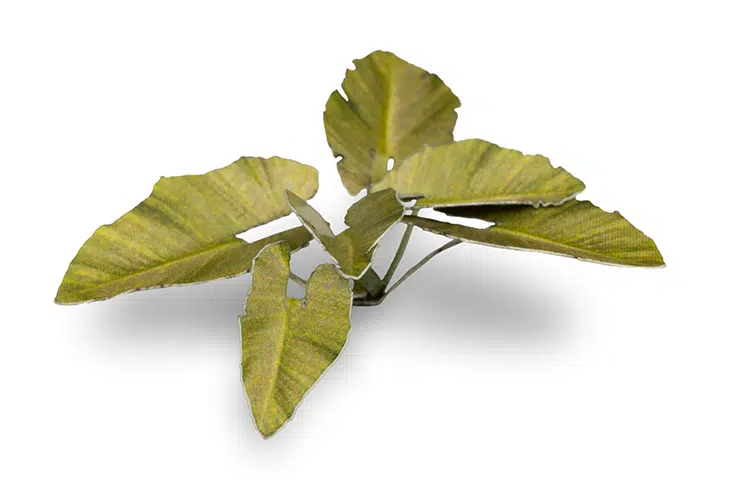 GGR GGLP-EE ITEM IMAGE 4