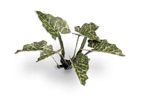 GGR GGLP-LAL ITEM IMAGE 3