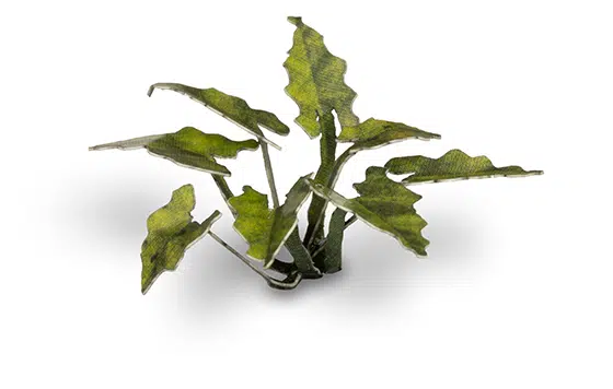 GGR GGLP-LAL ITEM IMAGE 4