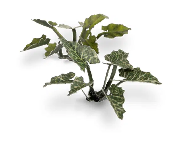 GGR GGLP-LAL ITEM IMAGE 5