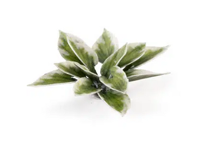 GGR GGLP-PL ITEM IMAGE 3