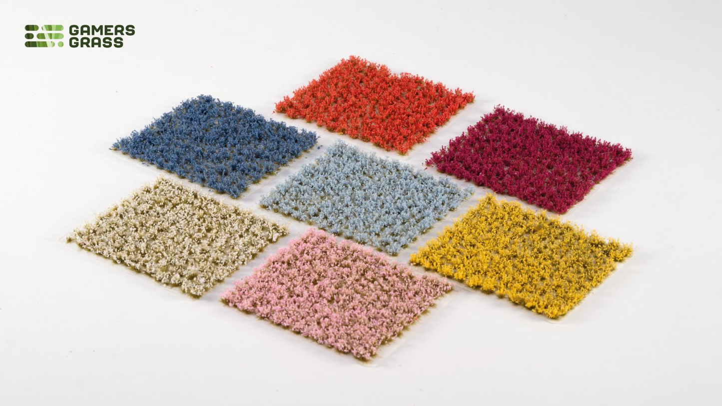 GGR GGSB-FCS ITEM IMAGE 4