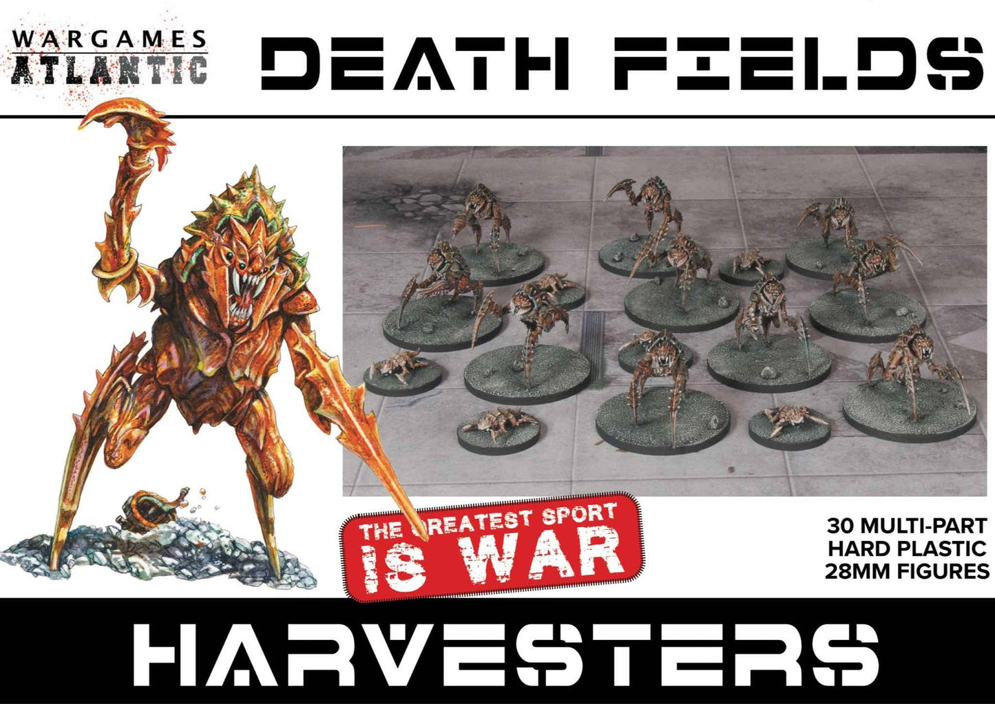 WAA DF009ITEM IMAGE 1