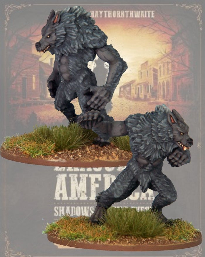 NOR DRAC121ITEM IMAGE 1