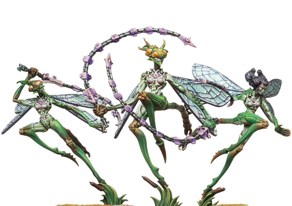 PAR PBWC305ITEM IMAGE 1