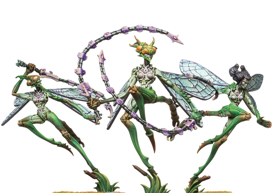 PAR PBWC305ITEM IMAGE 1