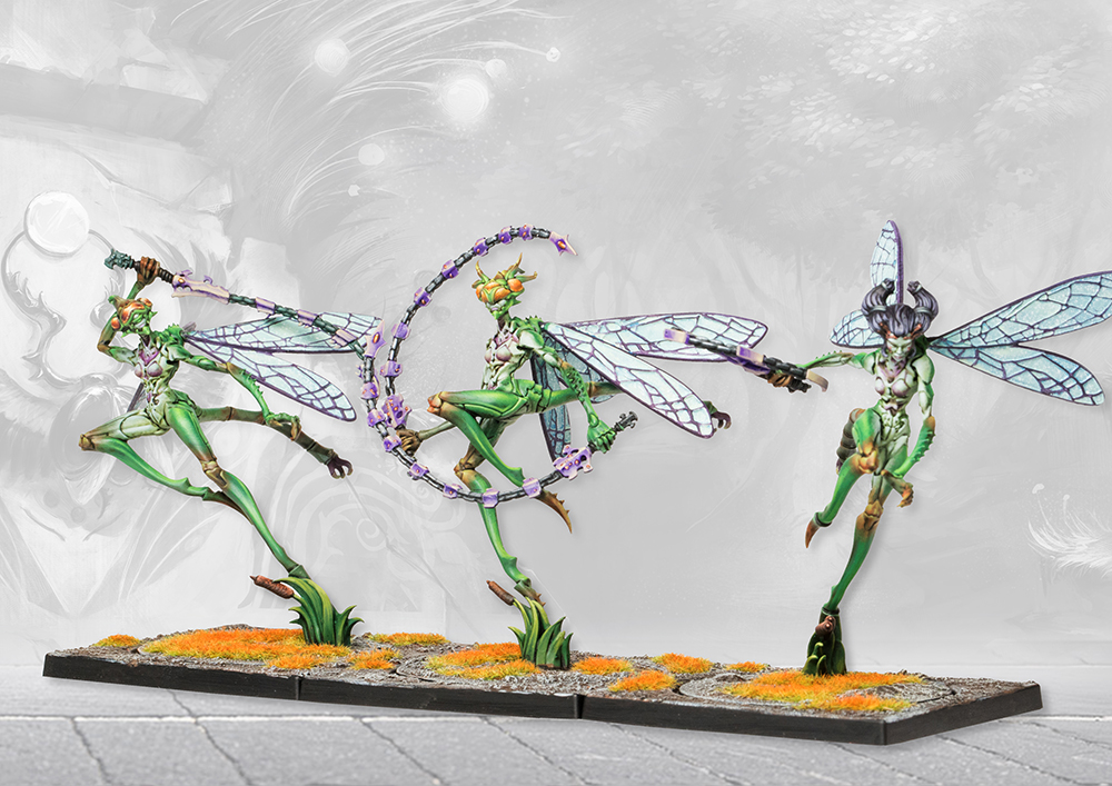 PAR PBWC305 ITEM IMAGE 3