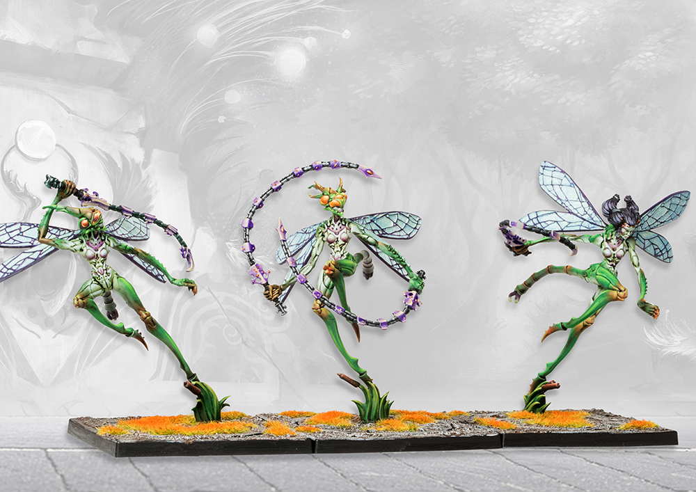 PAR PBWC305 ITEM IMAGE 4