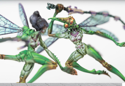 PAR PBWC305 ITEM IMAGE 5