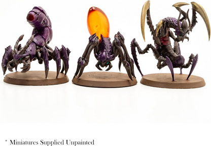 REN 02892 ITEM IMAGE 3