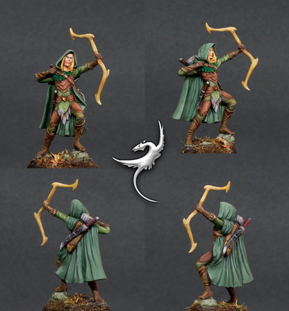 DSM 7420 ITEM IMAGE 3