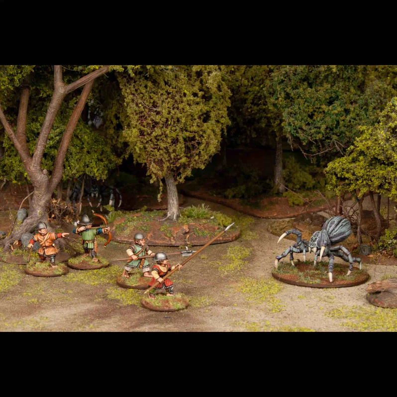 WAA CF003 ITEM IMAGE 2