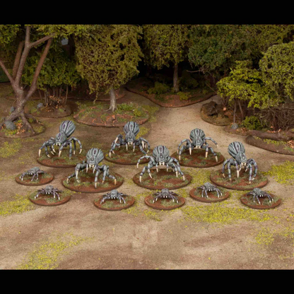 WAA CF003 ITEM IMAGE 3