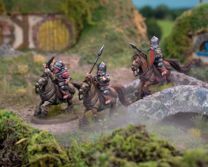 WAA CF013 ITEM IMAGE 3