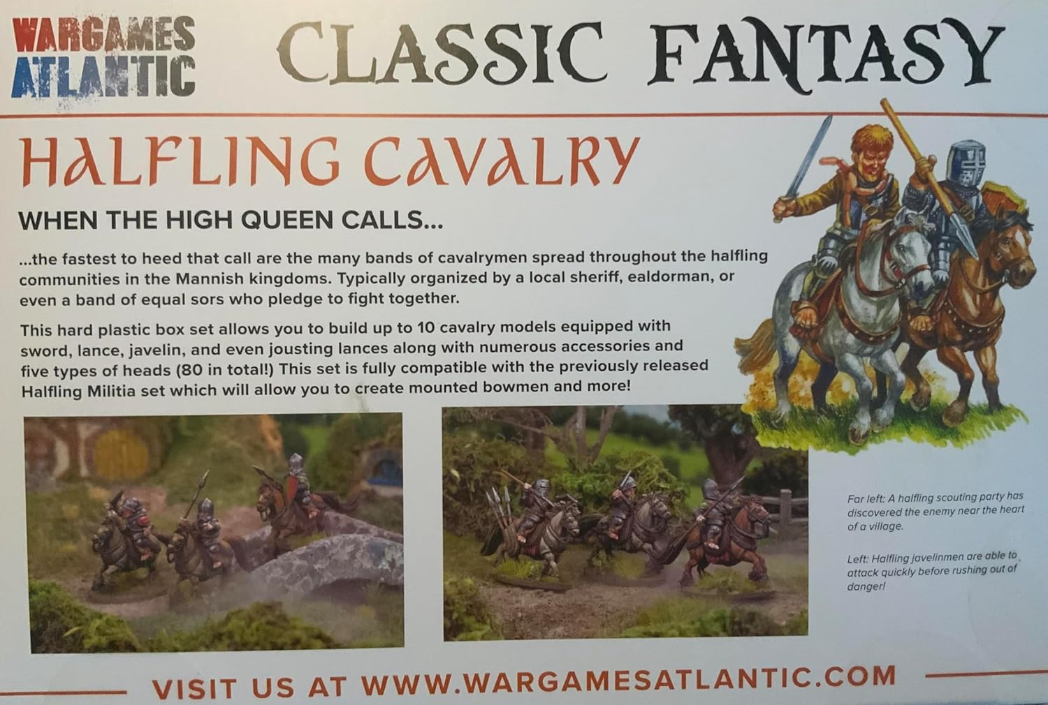 WAA CF013 ITEM IMAGE 4