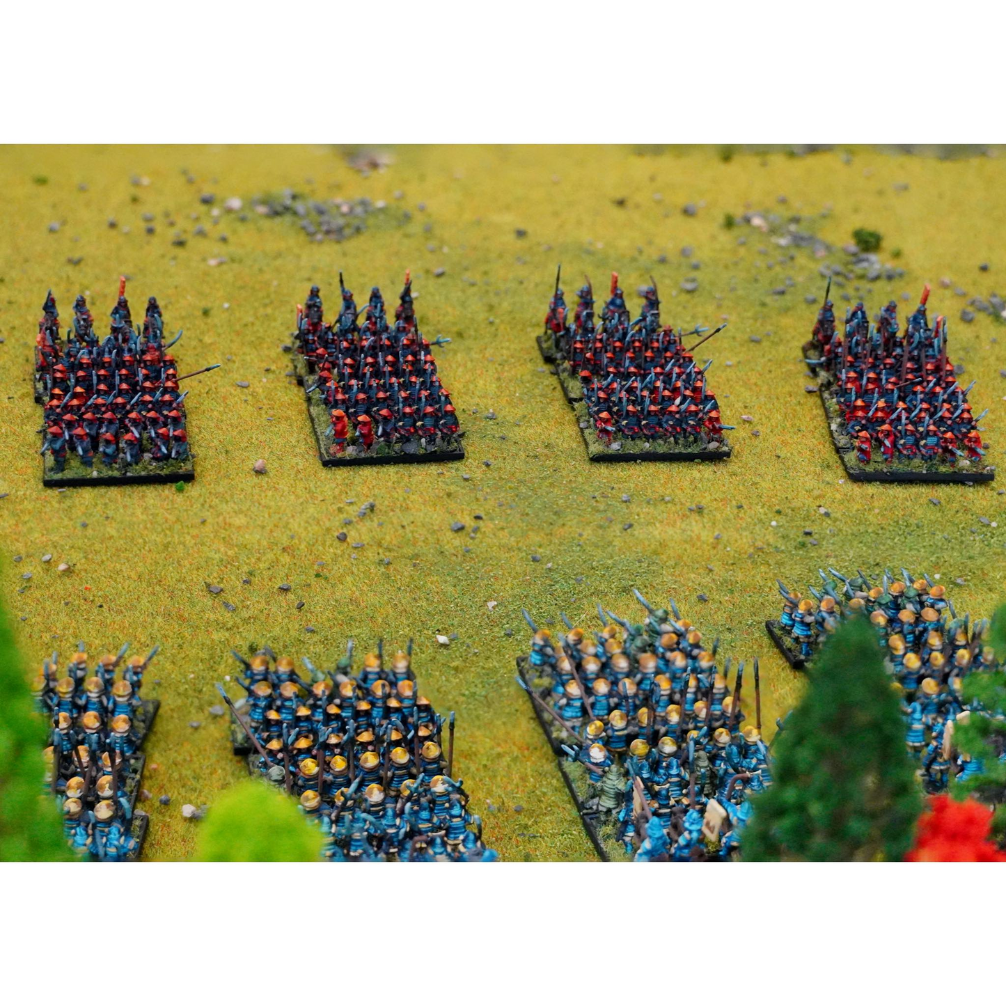 WAA RN008S ITEM IMAGE 3