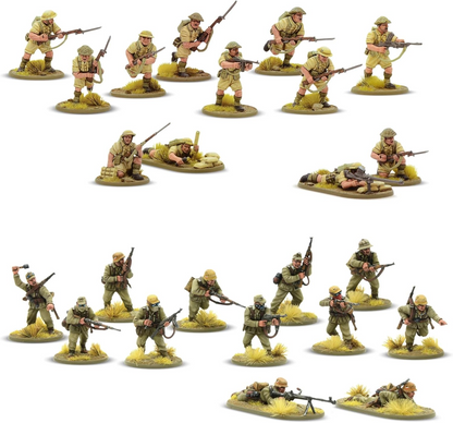 WLG 402610008 ITEM IMAGE 3