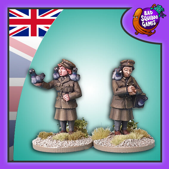 BSQ HF037ITEM IMAGE 1