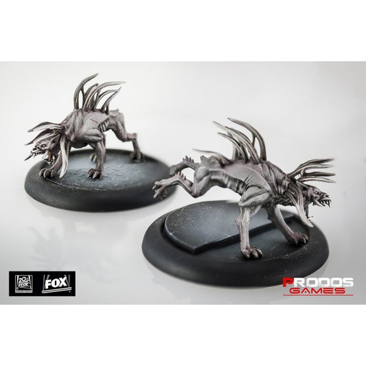 NJD 410307ITEM IMAGE 1