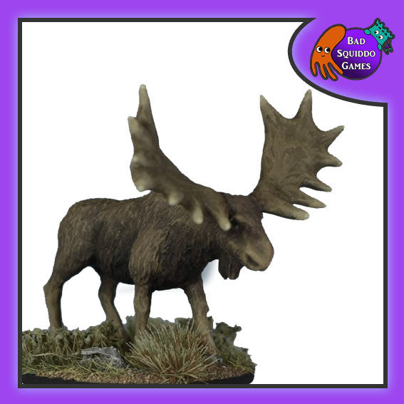 BSQ BFM070 ITEM IMAGE 2