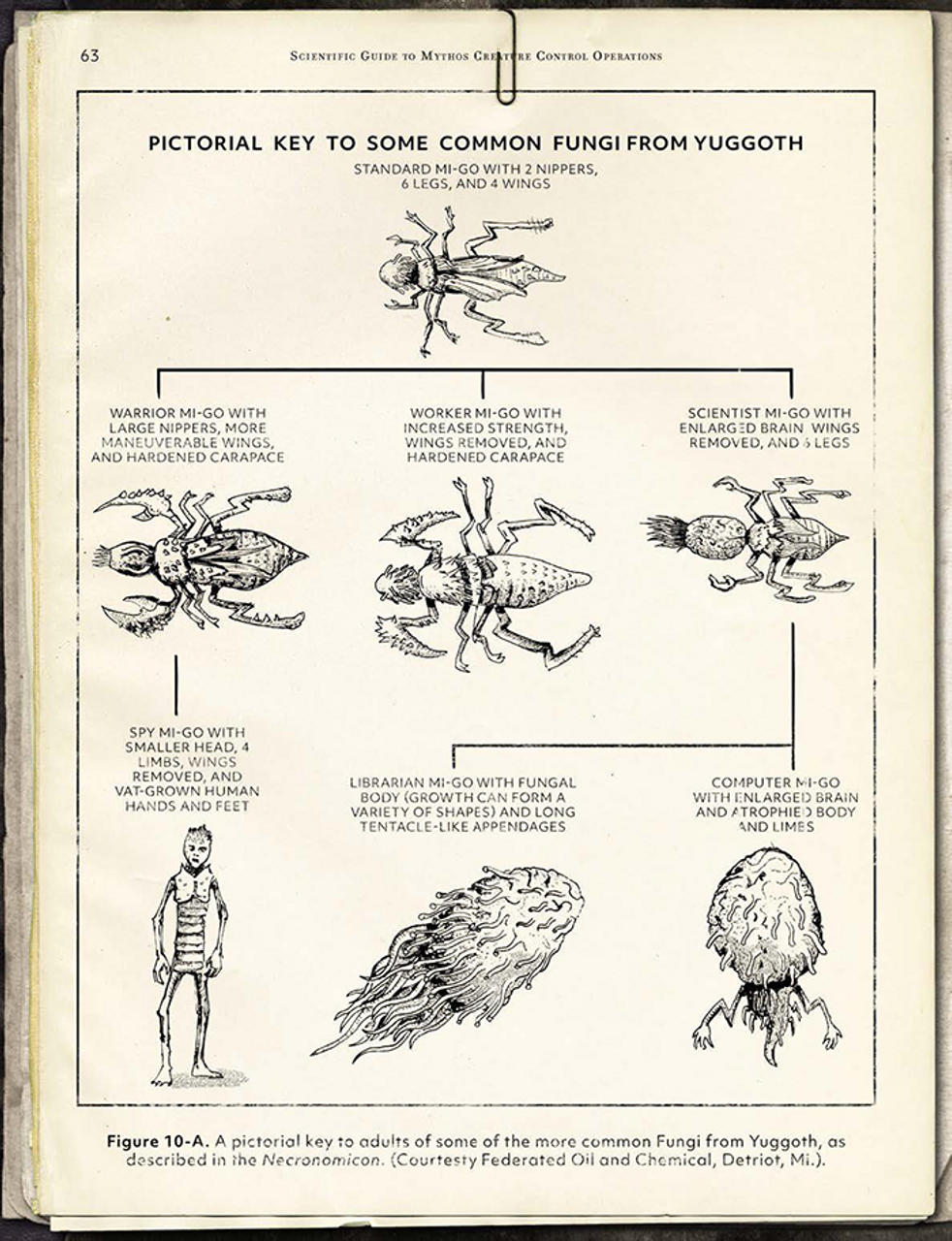 CHA 23176 ITEM IMAGE 5