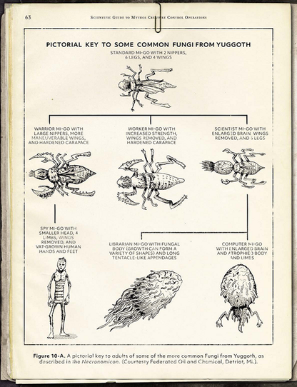 CHA 23176 ITEM IMAGE 5