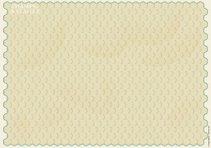 VV FIELDS ITEM IMAGE 2