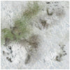 BSG TXX017 ITEM IMAGE 2