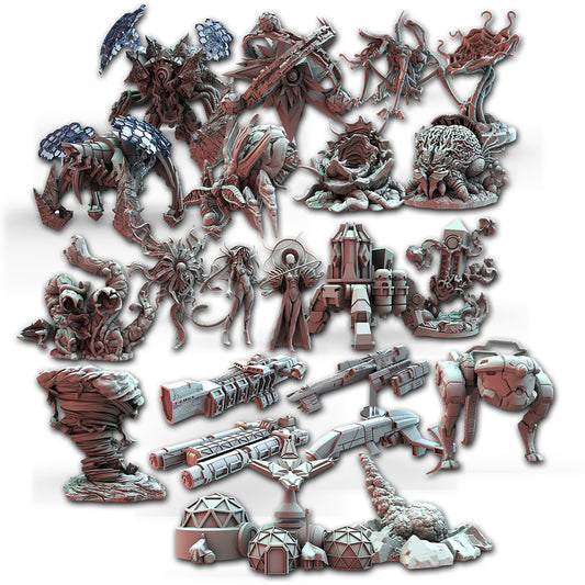 ASM AWIV03 ITEM IMAGE 2