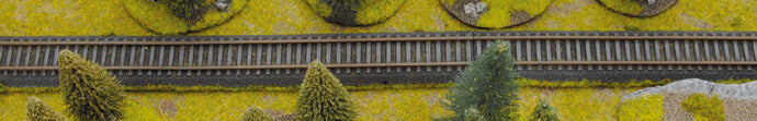 FOW BB135 ITEM IMAGE 5