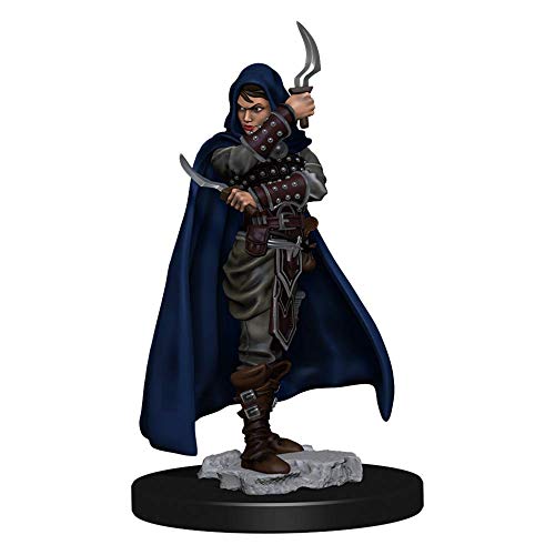 WZK 77501ITEM IMAGE 1